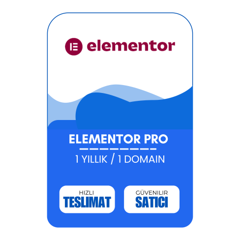 Elementor PRO 1 Yıllık